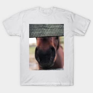 Jetta T-Shirt